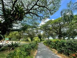 Pasir Ris Beach Park (D18), Semi-Detached #496784401